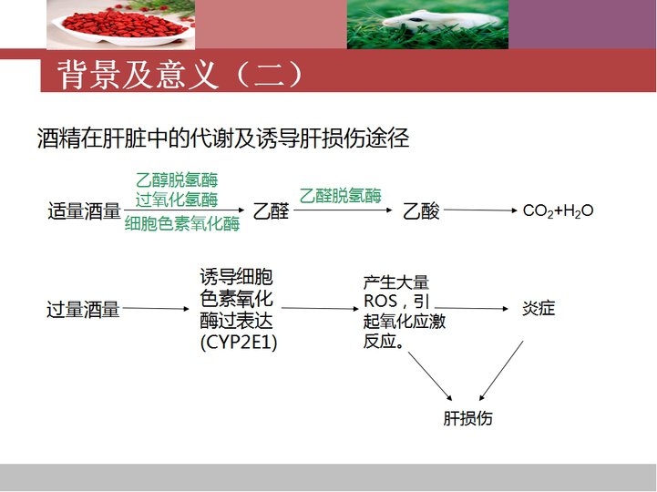 毕业设计开题报告