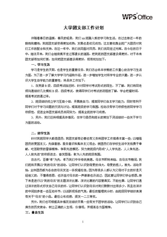 团支部工作计划